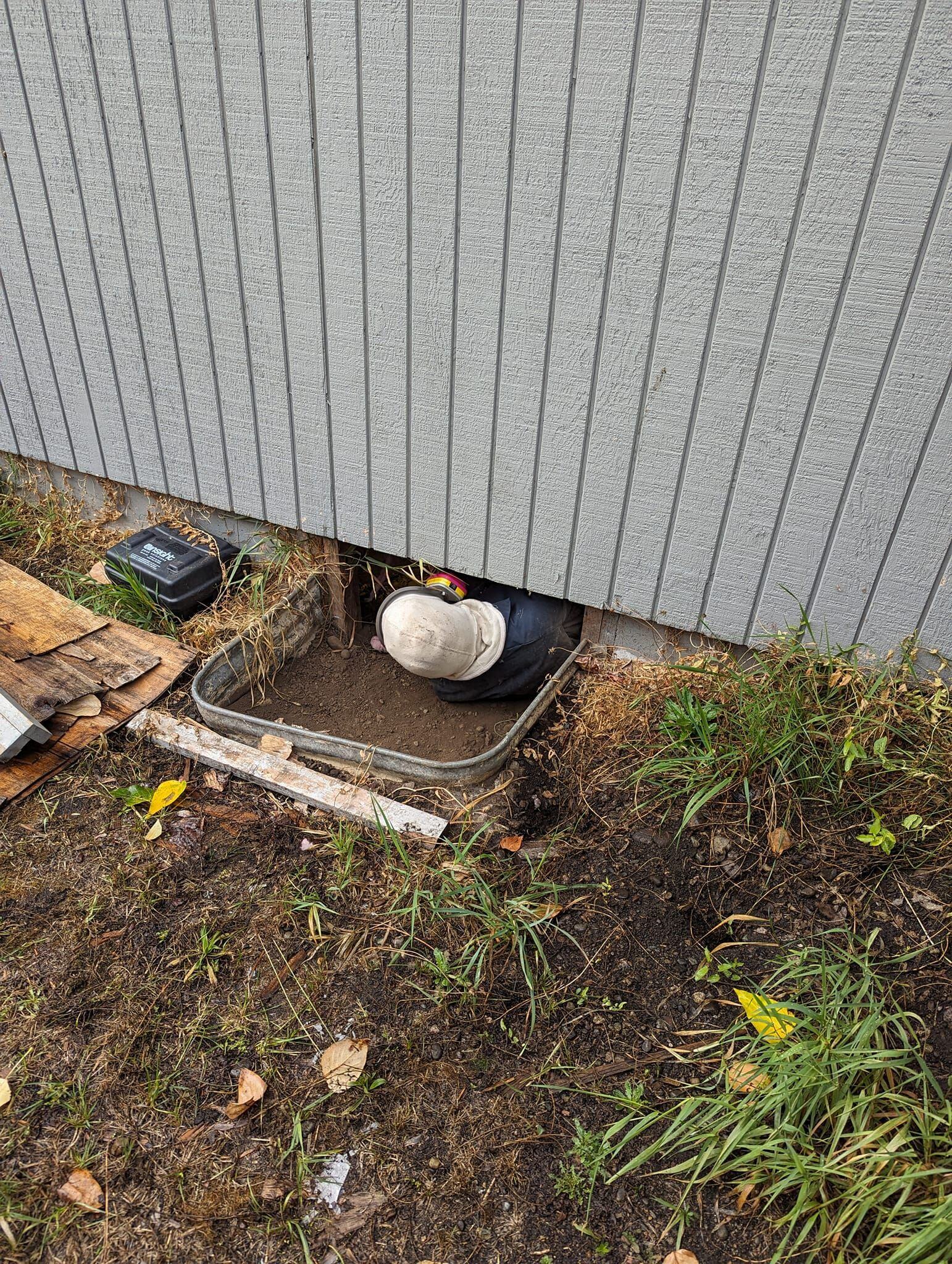 Under the House